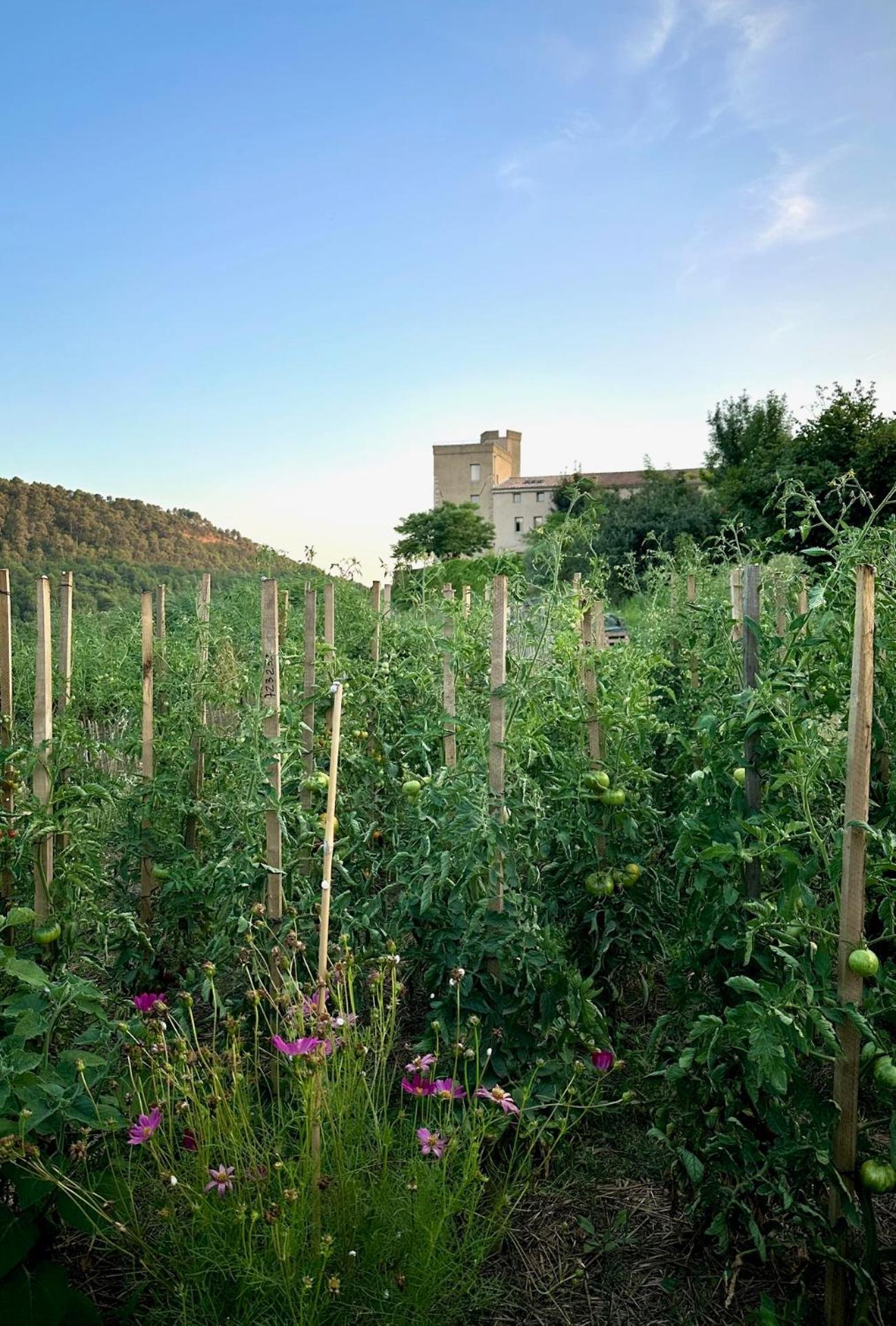 Domaine La Ferme Hi Bride Bed and Breakfast Villelaure Exteriör bild